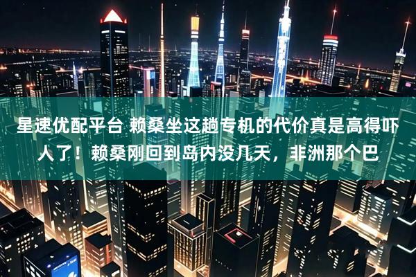 星速优配平台 赖桑坐这趟专机的代价真是高得吓人了！赖桑刚回到岛内没几天，非洲那个巴